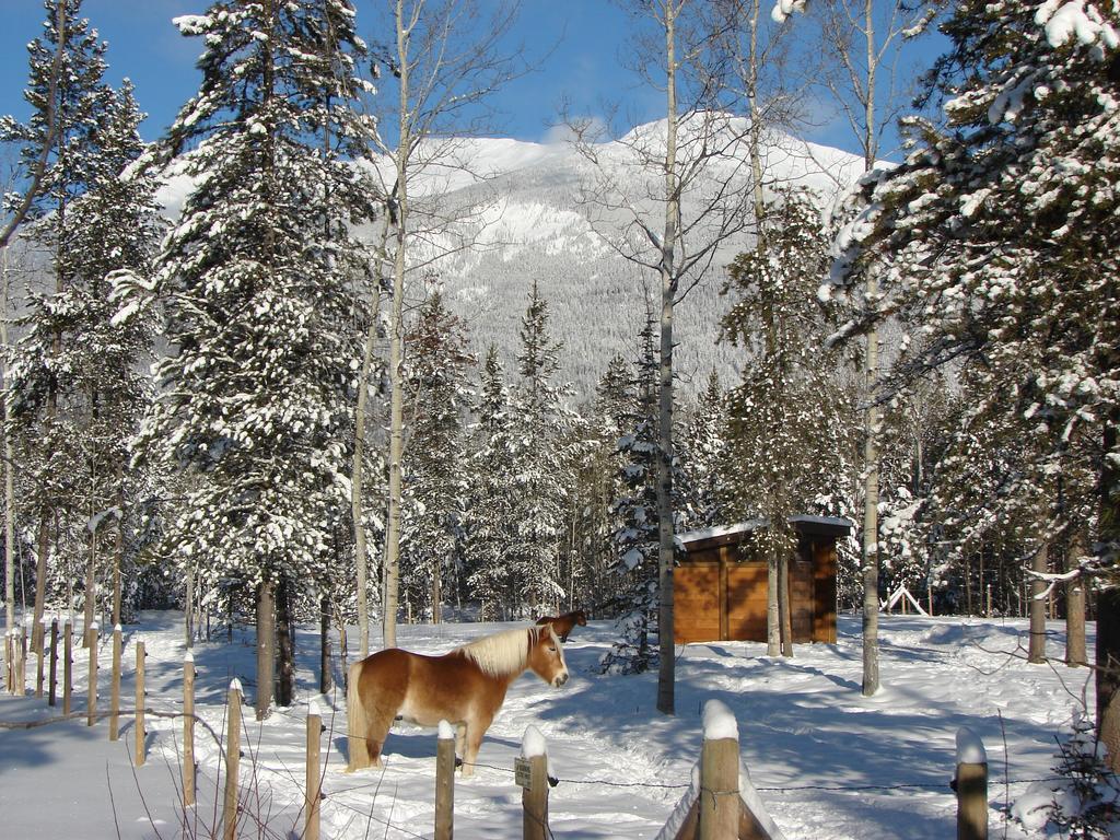 Mica Mountain Lodge & Log Cabins Tête Jaune Εξωτερικό φωτογραφία